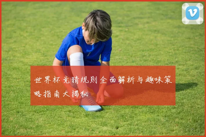 世界杯竞猜规则全面解析与趣味策略指南大揭秘