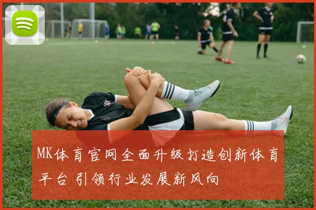 MK体育官网全面升级打造创新体育平台 引领行业发展新风向
