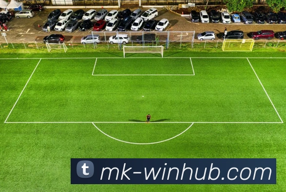 MK体育平台展示图